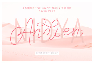 Andien Nidya Duo: A Modern Typeface for Web Design