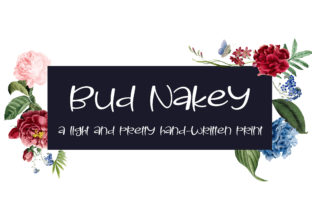 Bud Nakey Font for Creative Projects