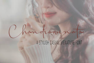 Chandrawinata: A Stylish Script Font