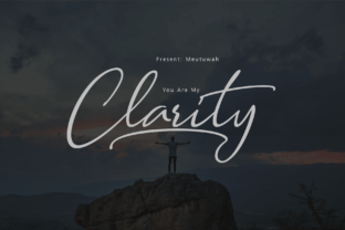 Clarity: A Stylish Script Font
