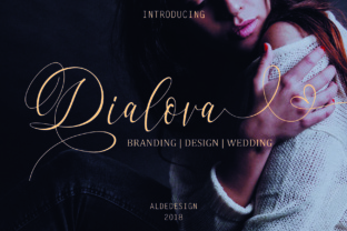 Dialova: A Stylish Font for Business Branding