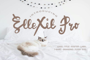 ElleXit Pro: A Versatile Typeface for Modern Editorial Design
