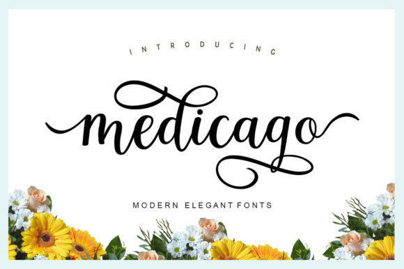 Medicago: A Stylish Script Font for Modern Campaigns