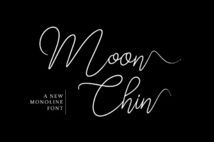 Moon Chin Font Review: Elegant Script for Branding
