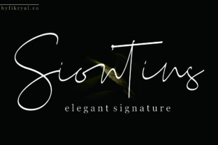 Siontins: Elegant Font for Business